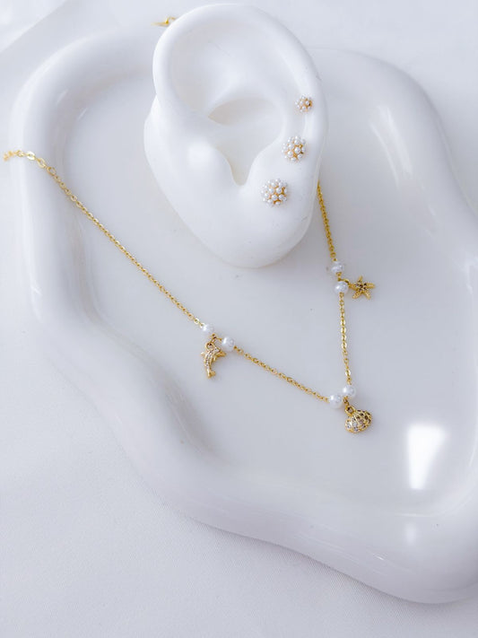 Topo y Collar Benedito