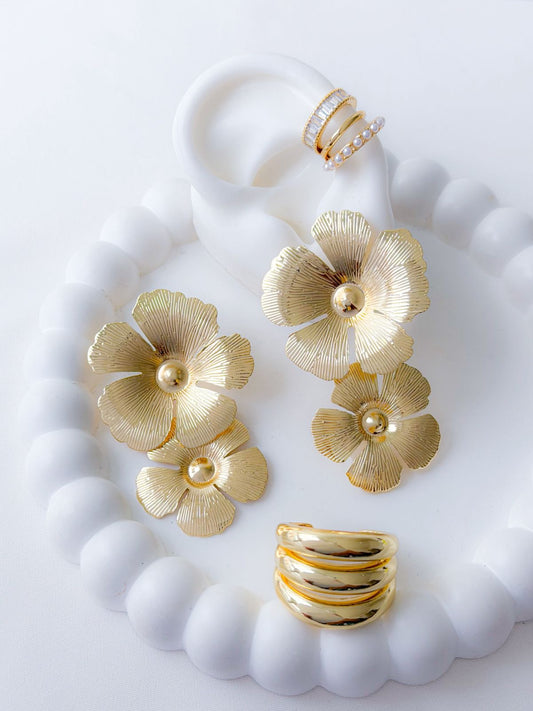 Arete y Anillo Ottone