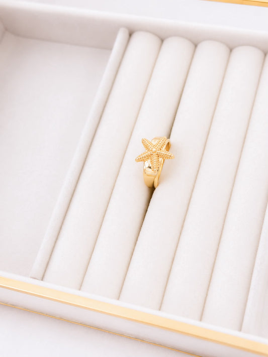 Anillo Dalile