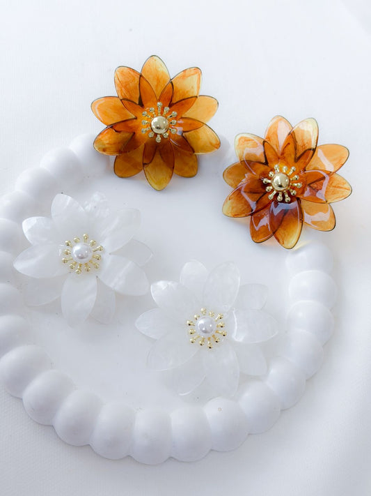 Arete y Set Dettwiler